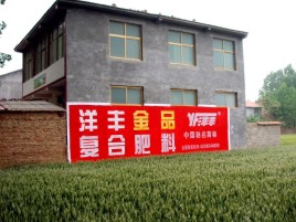耿马如何让墙体广告展现最大化效果
