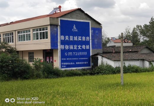 耿马决定墙体广告价格的因素有哪些？