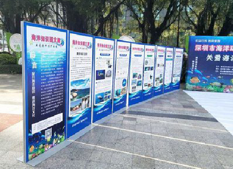 耿马KT板的种类和知识。